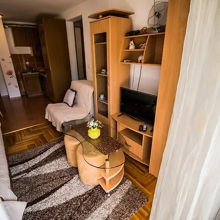 Markovic Apartment Budva